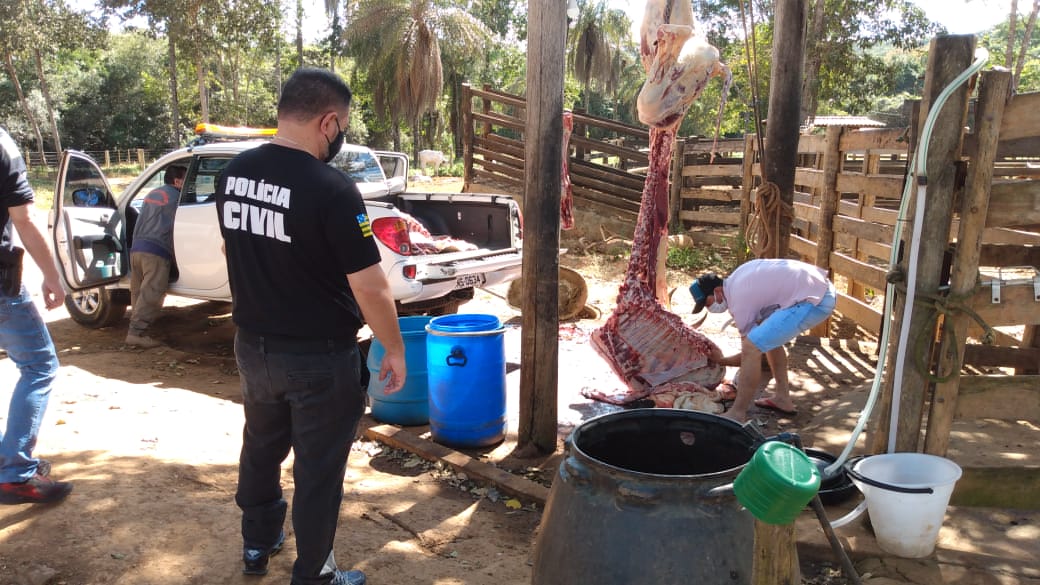 Abatedouro clandestino é fechado em São Miguel do Passa Quatro