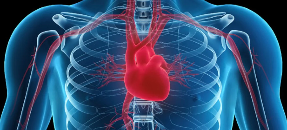 Mortes por doenças cardiovasculares crescem 31% desde o início da quarentena no Brasil