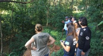 Mulher é multada em R$ 300 mil por desmatamento em território kalunga