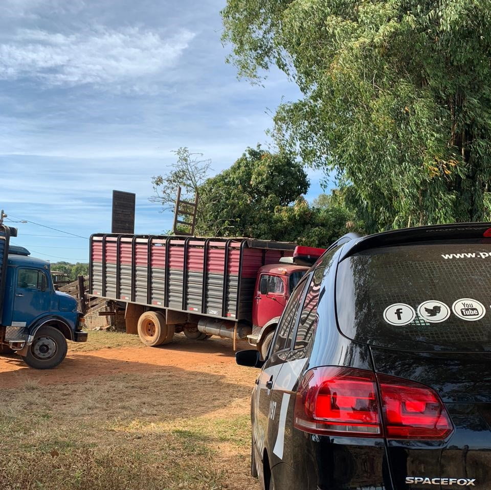 Polícia recupera 41 cabeças de gado furtadas em fazendas de Bela Vista