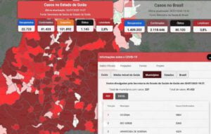 Imagem do site de informações do Coronavírus em Goiás (reprodução)