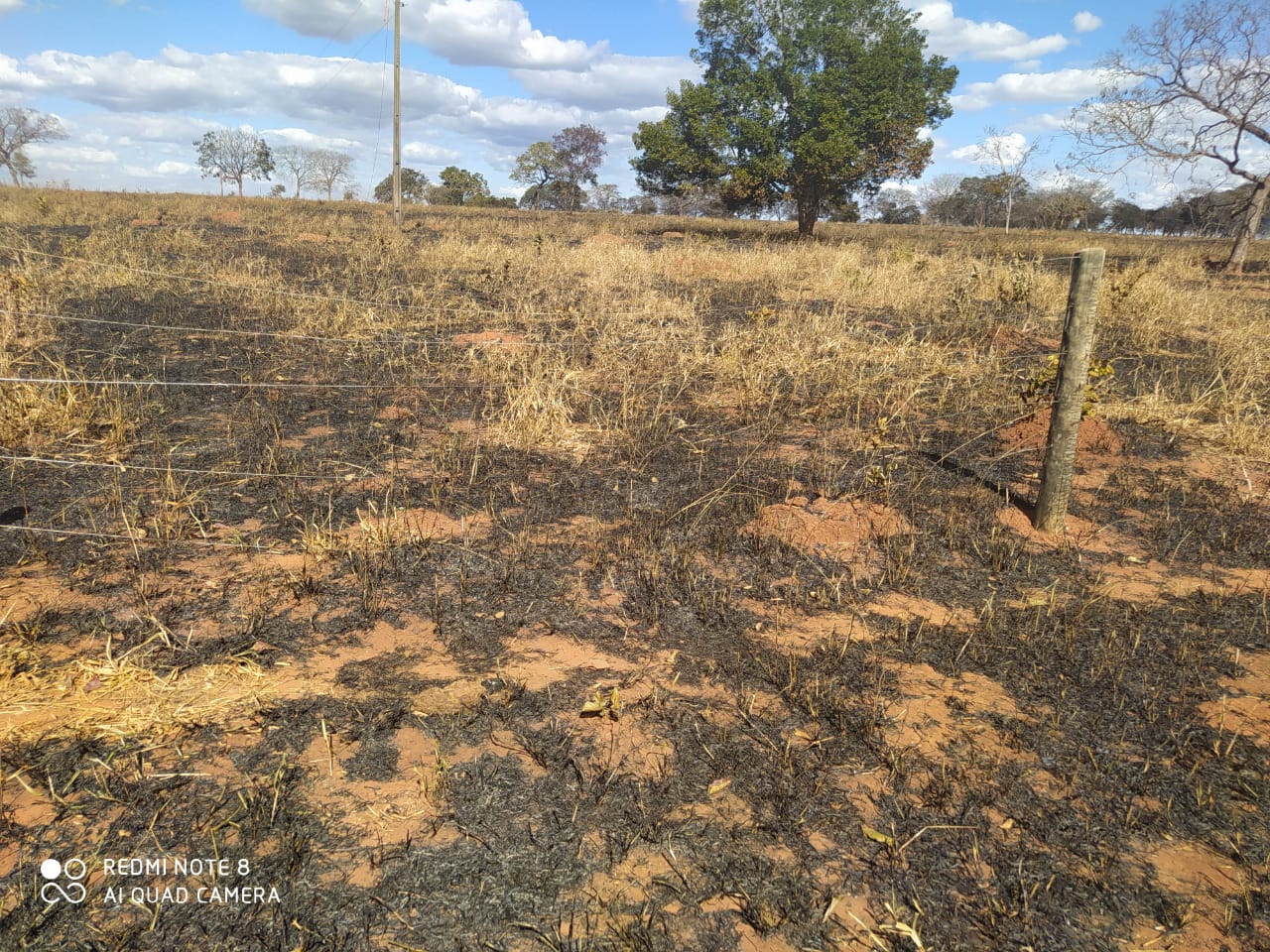 Dois homens morrem em incêndio na zona rural de Cumari, em Goiás