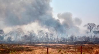 Governo de Goiás decreta estado de emergência ambiental