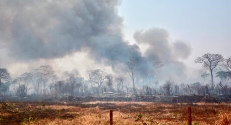 Governo de Goiás decreta estado de emergência ambiental