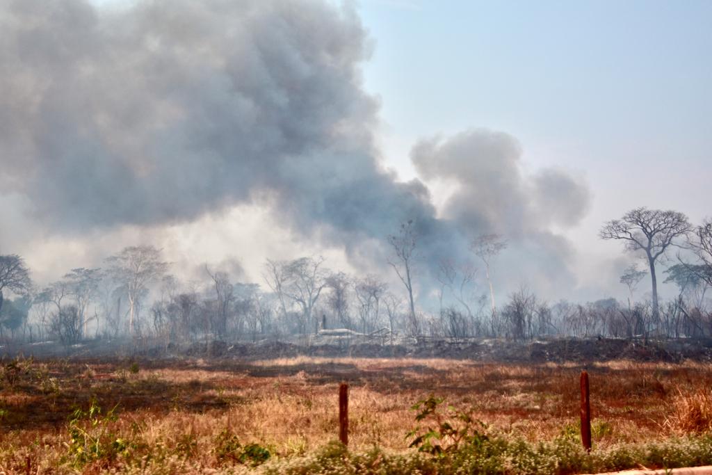 Com alto risco de incêndios florestais, Goiás decreta situação de emergência ambiental