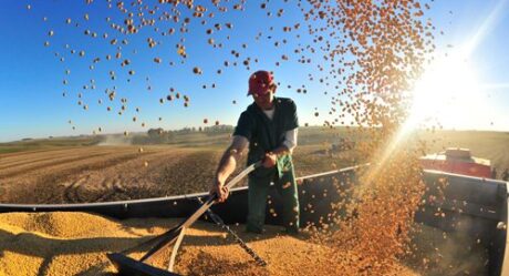 Goiás terá uma nova divisão do PIB específica para o Agronegócio, detalha presidente do IMB