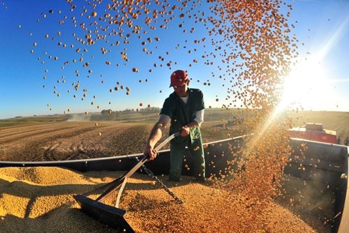 Goiás terá uma nova divisão do PIB específica para o Agronegócio, detalha presidente do IMB