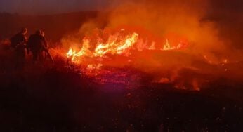 Bombeiros impedem incêndio no Parque Ecológico de Goiânia