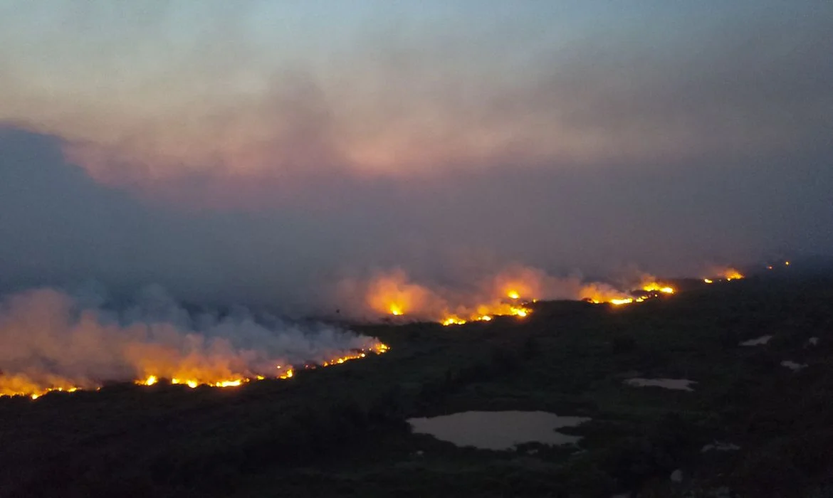 Governador garante que apurará causas dos incêndios no Pantanal