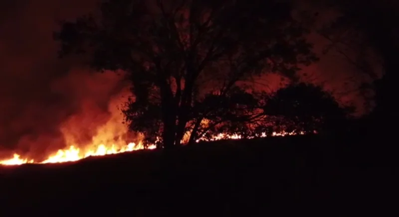 Incêndio atinge vegetação próxima ao Parque Altamiro de Moura Pacheco