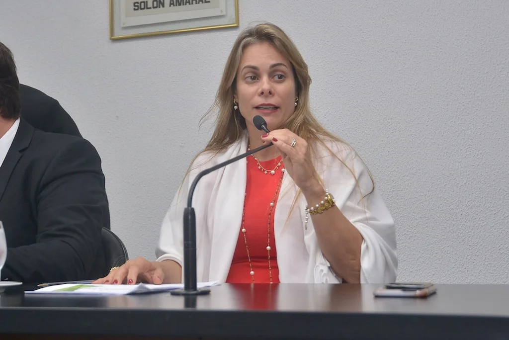 Há uma perda estrutural de arrecadação estadual, avalia Cristiane Schmidt