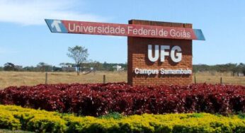 UFG recebe doação de 597 smartphones apreendidos pela Receita Federal em Goiás