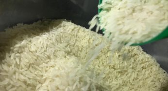 Governo zera imposto pelas próximas 400 mil toneladas de arroz