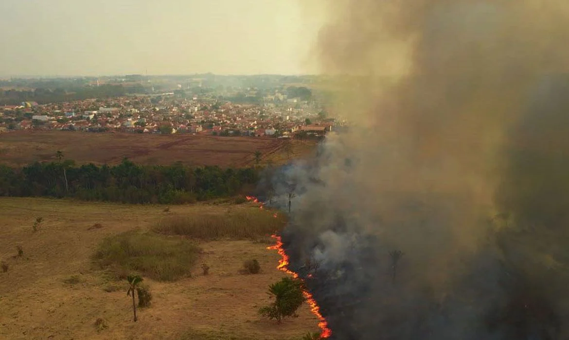 Cenário no Pantanal é devastador, afirmam senadores