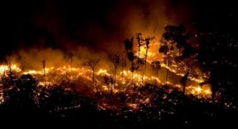 Monitor do Fogo Mapbiomas aponta 11,39 mi de hectares do território brasileiro atingidos por queimadas