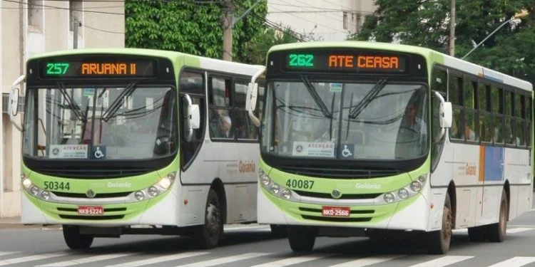 Empresas de ônibus dizem que ainda não houve conversa com equipe de Maguito