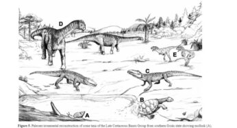 Descoberta coloca Goiás no mapa mundial dos dinossauros