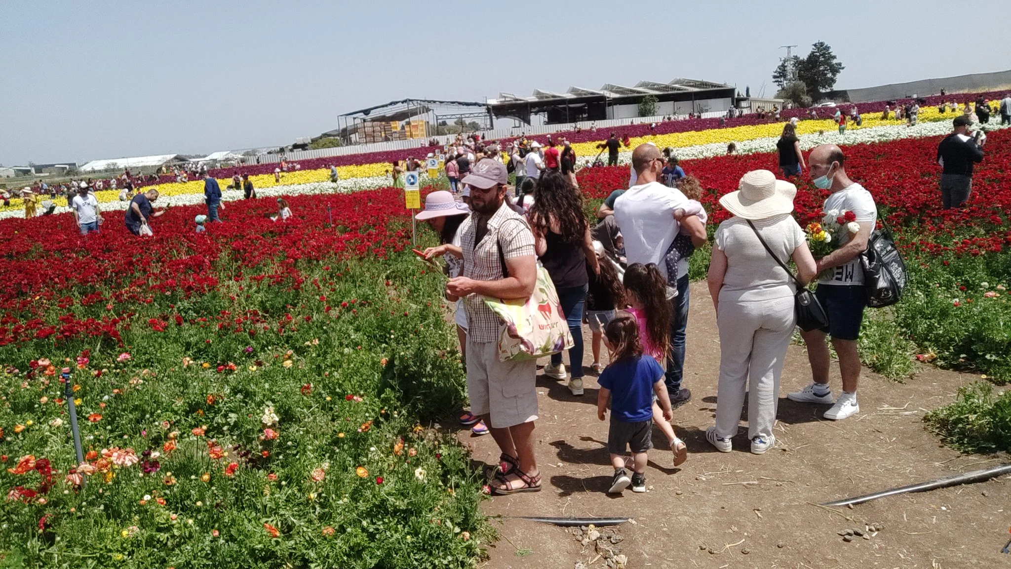 Pela primeira vez em dez meses, Israel não registra mortes por covid-19