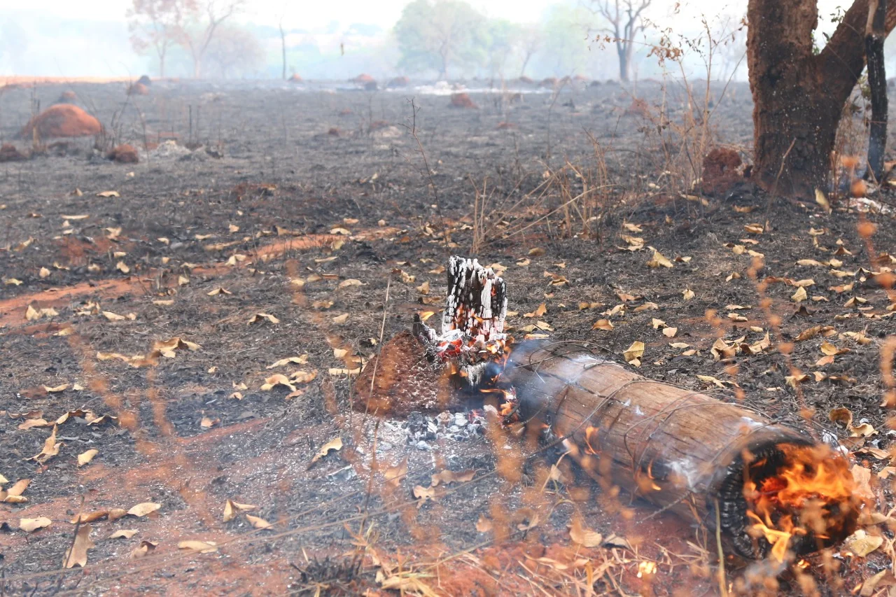 Governo alerta para a pior seca em 111 anos