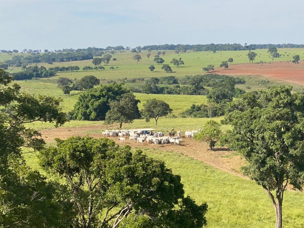 Terreno em Brazabrantes onde pode ser construído aterro sanitário