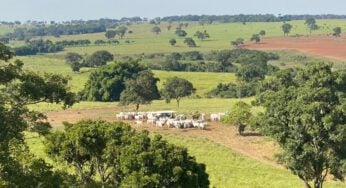 Aterro sanitário de Brazabrantes não tem licenciamento de instalação