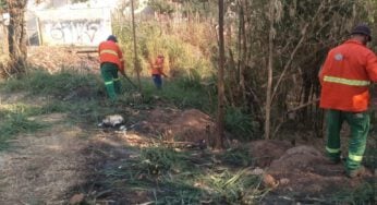 Trabalhos da Comurg ocorrem em vários bairros de Goiânia, nesta quarta-feira