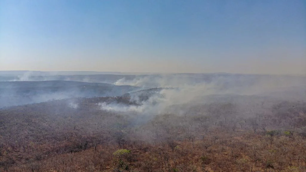 Incêndio já consumiu 15% da área do Parque Estadual Terra Ronca