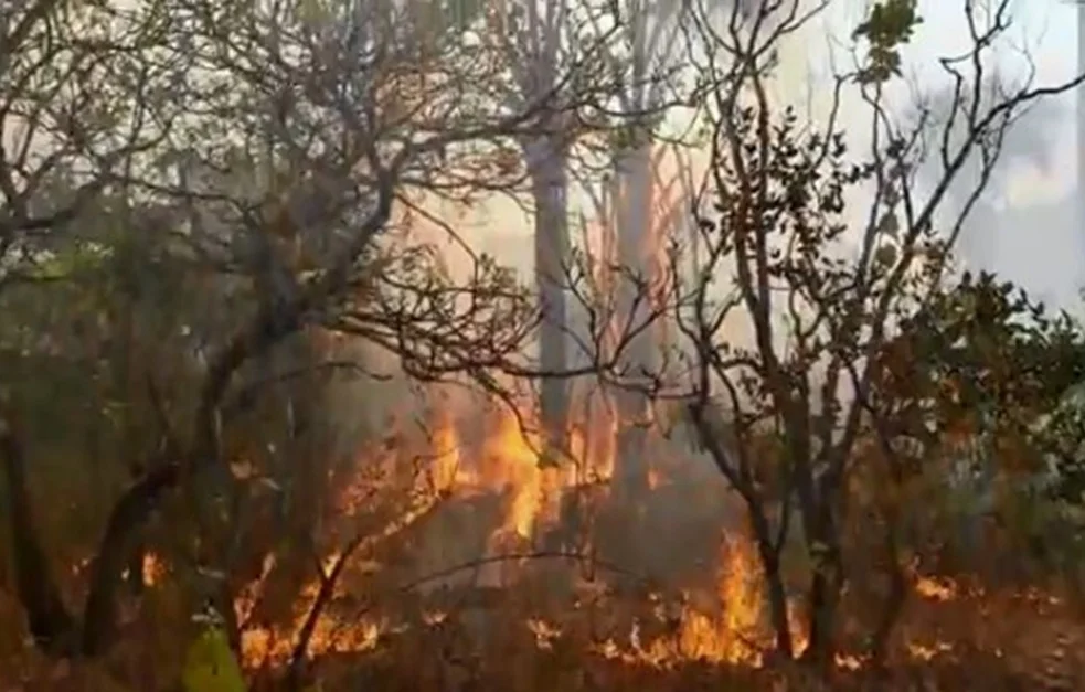 Incêndio ameaça região central do Parque Estadual Terra Ronca