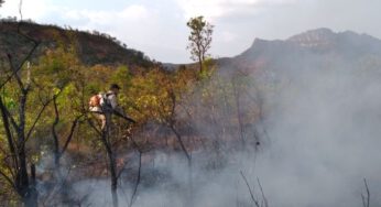 Incêndio no Parque de Terra Ronca é extinto após consumir 12% da vegetação