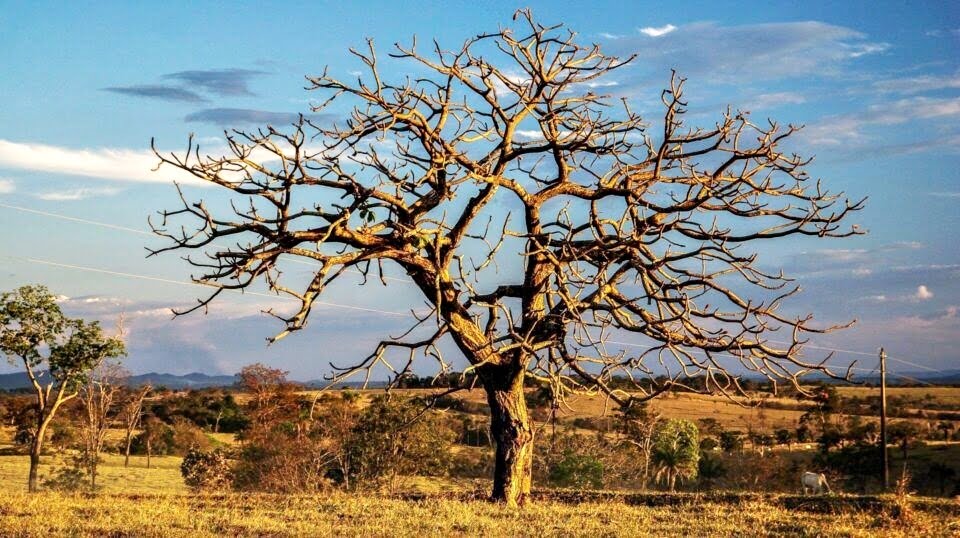 Fenômeno natural tende a causar chuvas irregulares e manter mananciais sob risco em 2021