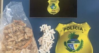 Fruto proíbido: porções de super-maconha são apreendidas dentro de maçãs