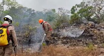 Quatro pessoas são indiciadas suspeitas de provocar incêndio na Chapada dos Veadeiros