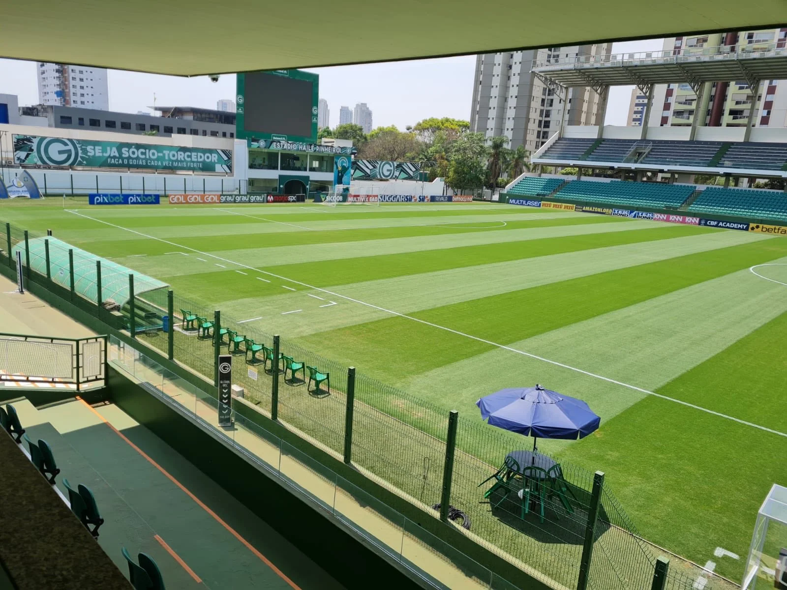 Com presença de torcida na Serrinha, Goiás se prepara para enfrentar Guarani em decisão na Série B