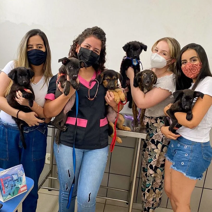 Abrigo com mais de 200 animais pede socorro para se manter