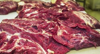 Preço da carne bovina acumula queda de 2,7% nos três primeiros meses do ano e deve cair mais 