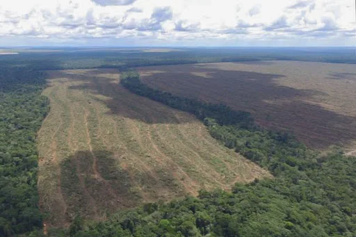 Oito das dez cidades que mais emitem gases de efeito estufa no Brasil são da Amazônia