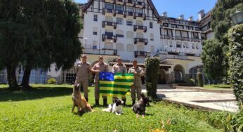 Após trabalho de busca das vítimas em Petrópolis, equipe de Bombeiros retornam a Goiás