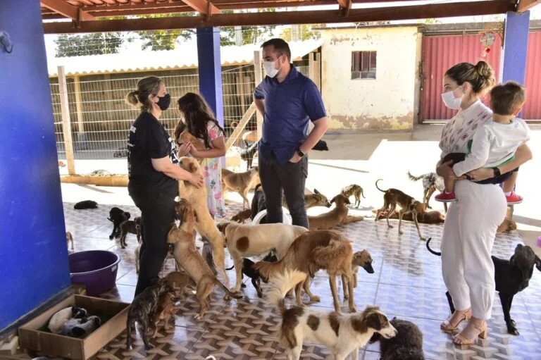 Mutirão em Aparecida de Goiânia terá doação de animais