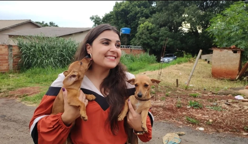 Projeto quer dar direito a cães de suporte emocional acompanharem seus tutores no transporte coletivo e comércio de Goiânia