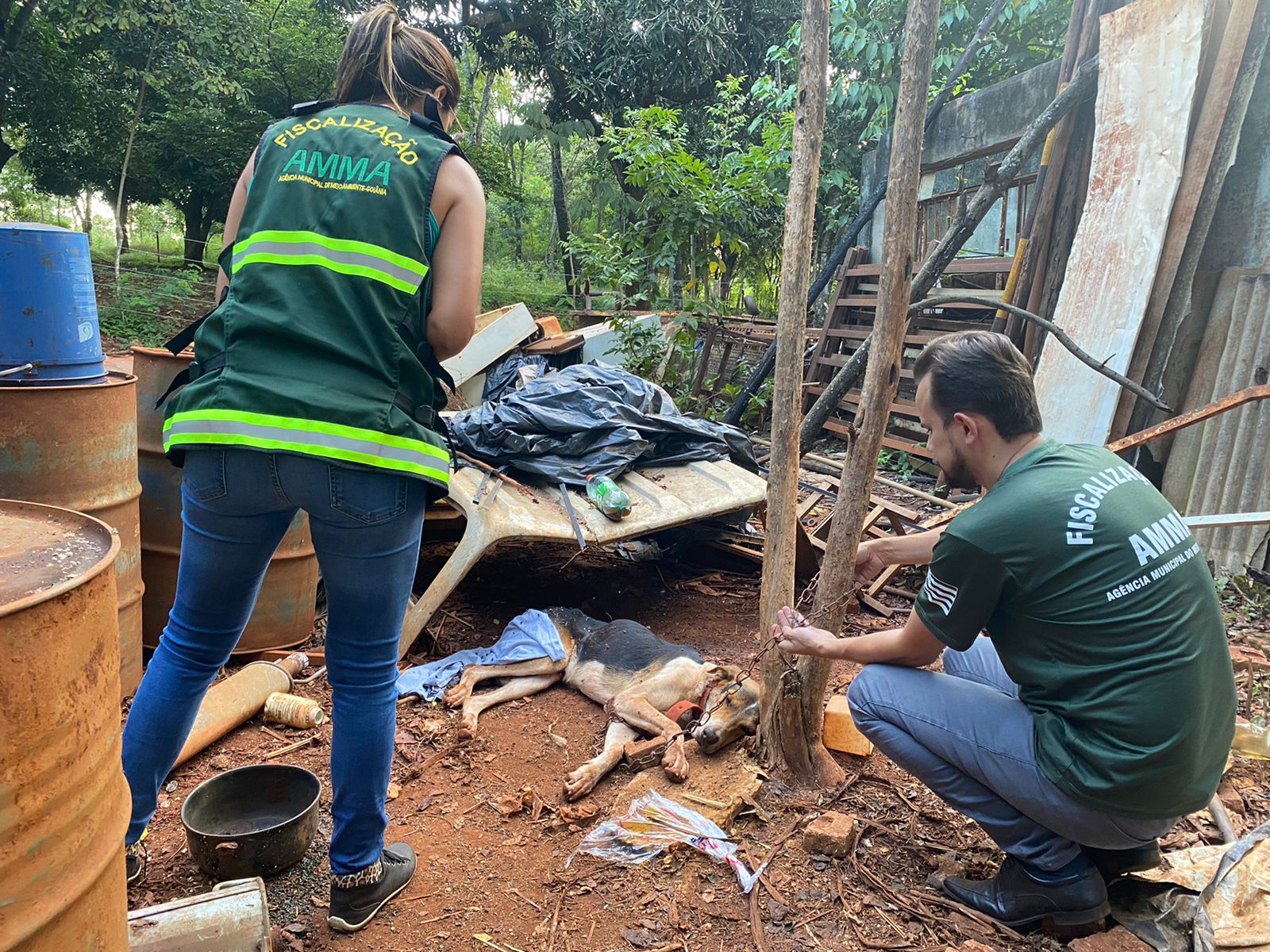 Operação contra maus tratos multa tutores por deixar animais sem comida e água, em Goiânia