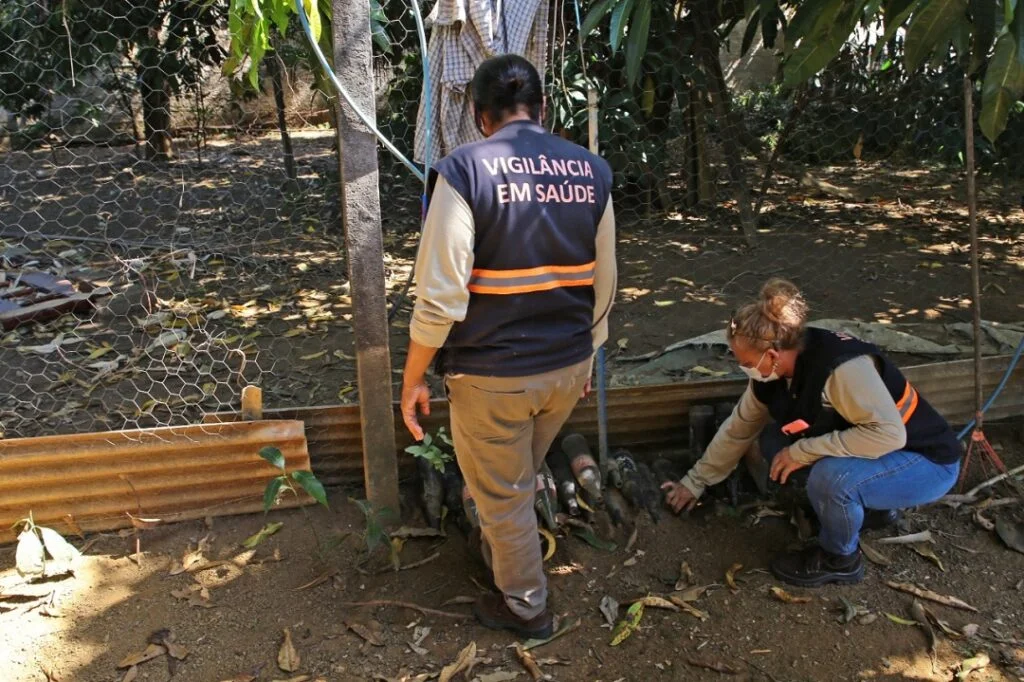 Com mais de 4 mil casos somente neste ano, Aparecida intensifica o combate à dengue