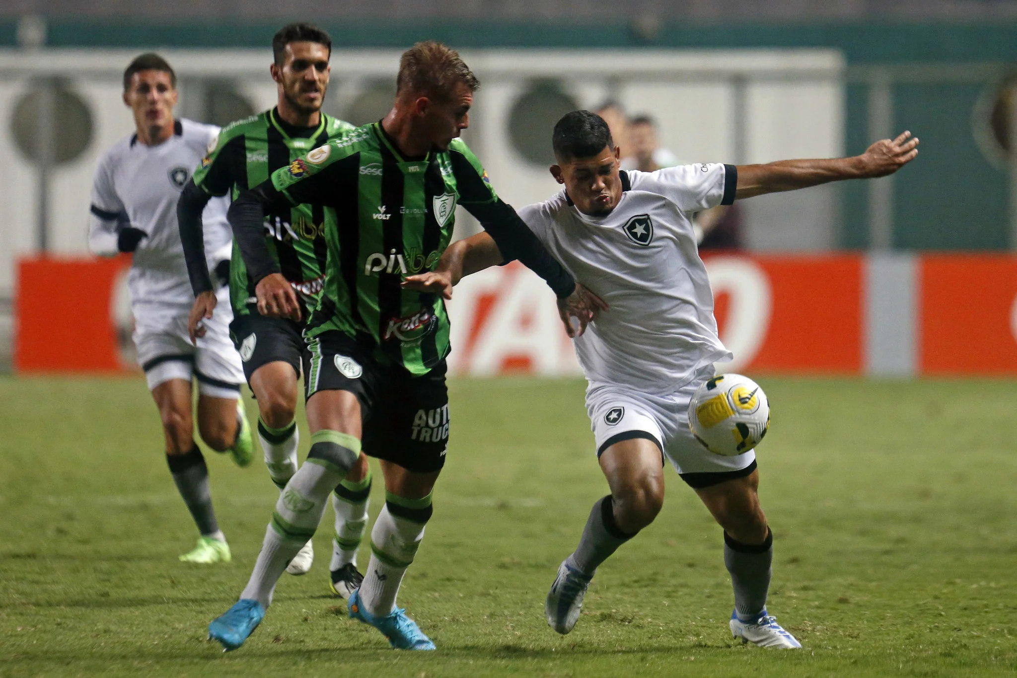 Botafogo arranca empate com América-MG, mas perde chance de liderar Brasileirão