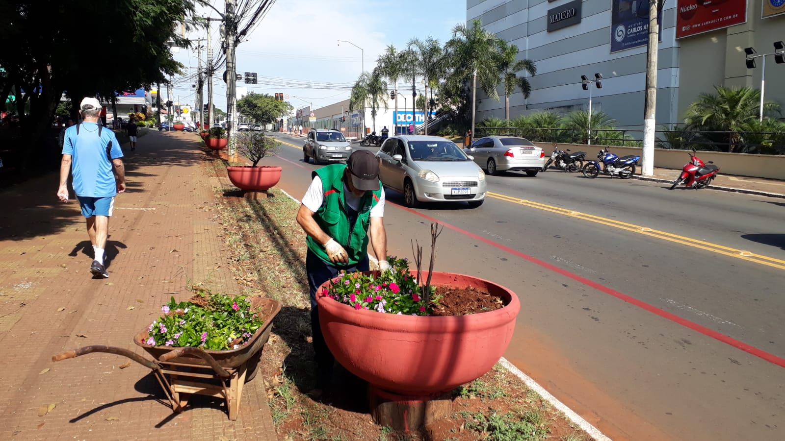 revitalização dos parques Goiania