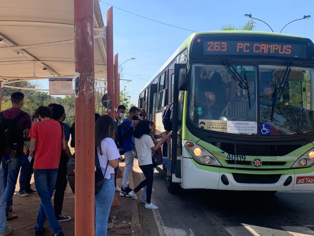 ônibus 263, campus/terminal da biblia