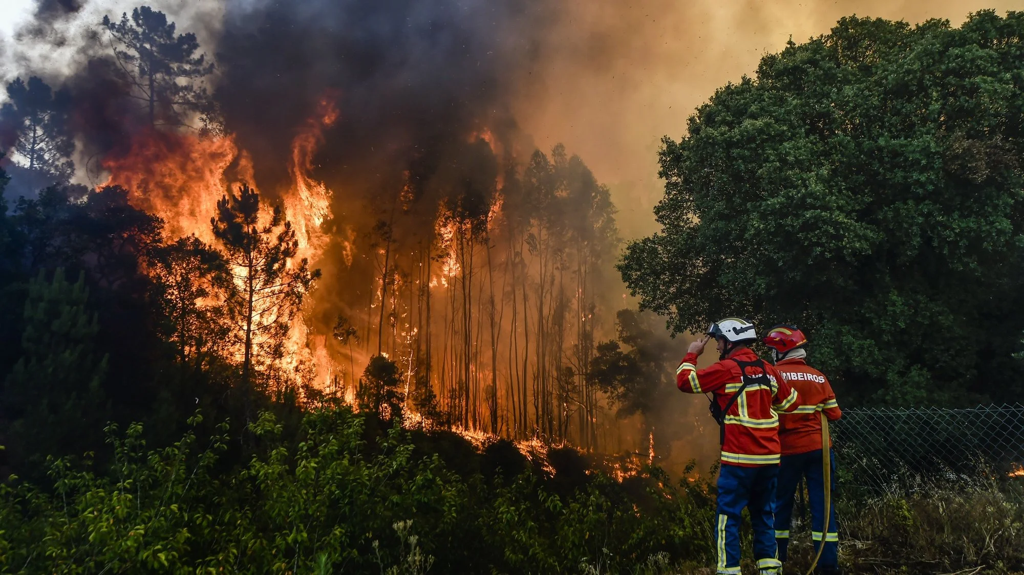 Onda de calor: recorde nas temperaturas resulta na morte de centenas em Portugal e Espanha