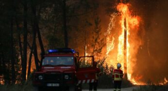 Com temperaturas a quase 50º, Portugal registra dia mais quente do ano e incêndios pelo país