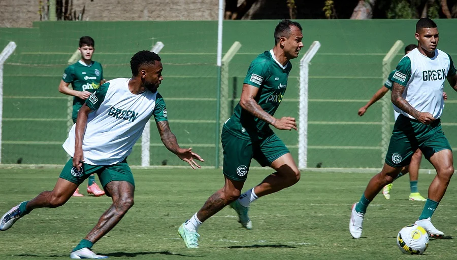 Vinícius reforça discurso de insatisfação com arbitragem: “Todo jogo o Goiás é prejudicado