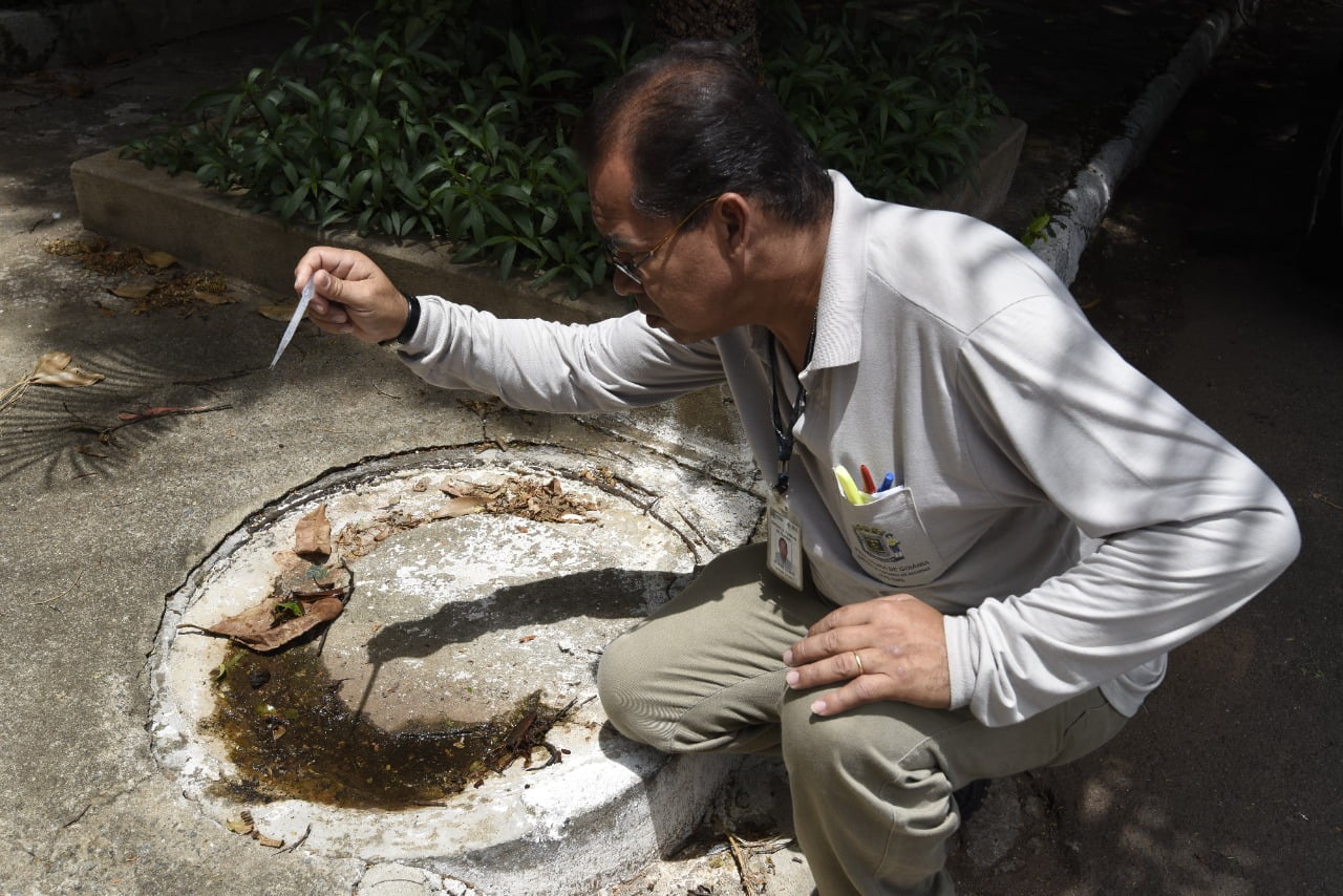 SES-GO promove seminário para capacitar técnicos sobre bloqueio de transmissão do Aedes aegypti