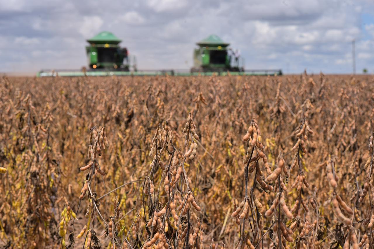 PIB de Goiás cresce 3,4% no segundo trimestre do ano