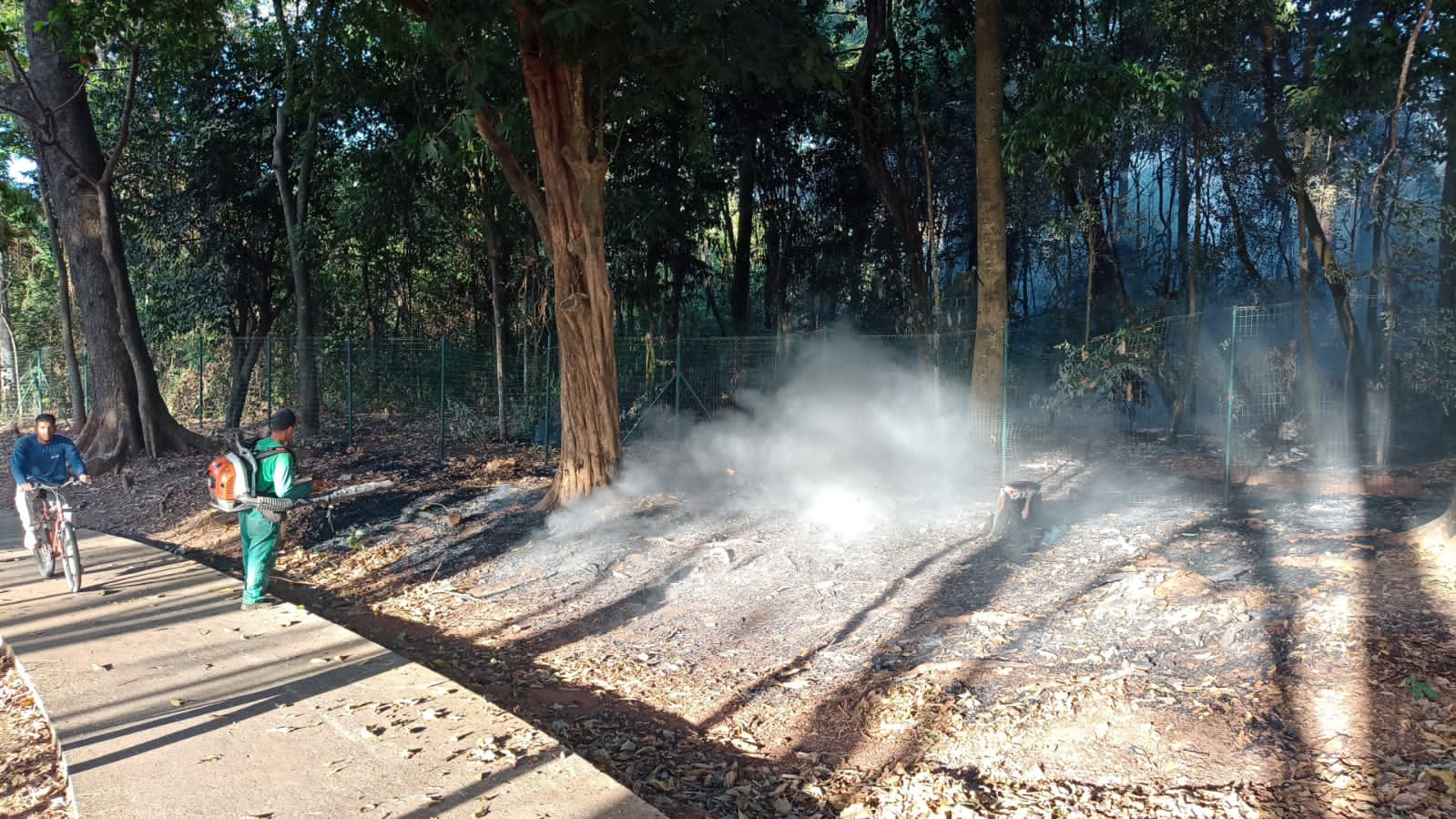 incêndio Bosque Bougainville